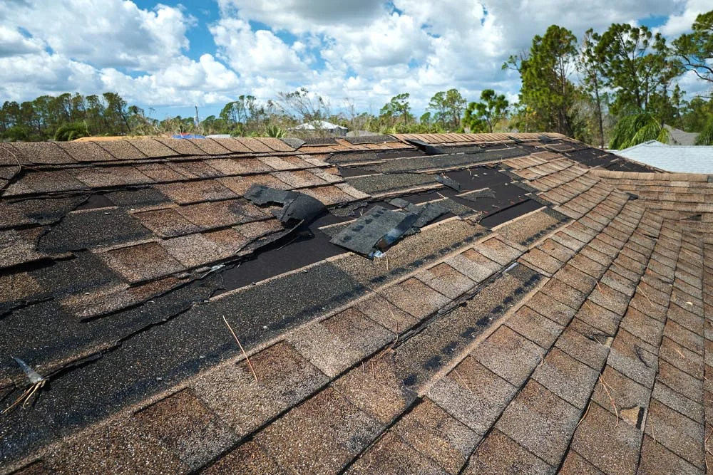 Damaged roof shingles