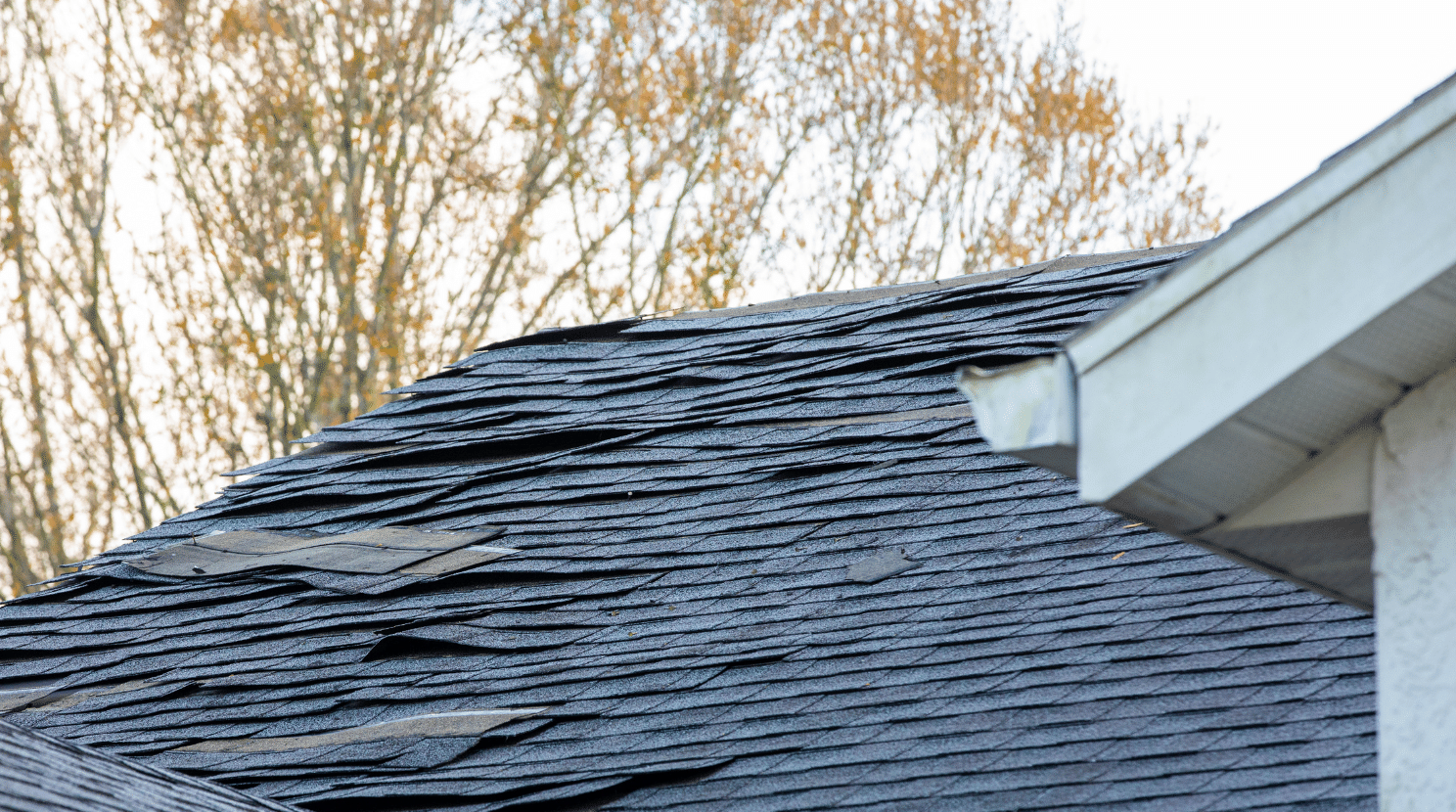Can The Wind Damage My Pittsburgh Roof: olf rood