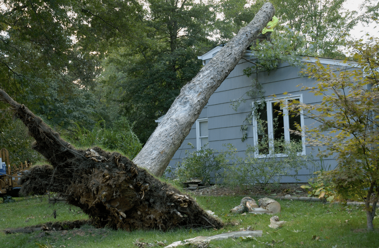 Can The Wind Damage My Pittsburgh Roof: environmental elements