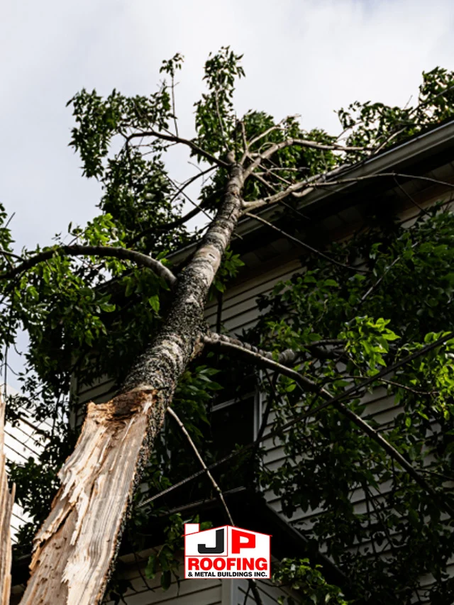 Can The Wind Damage My Pittsburgh Roof?
