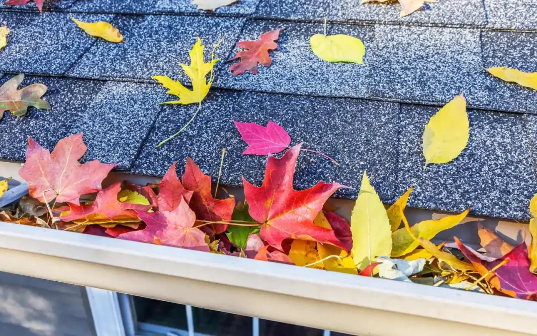 Can Leaves Damage My Roof?