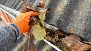 Leaves being pulled from gutters