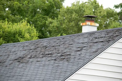 do I need a new roof? old damaged roof, missing shingles