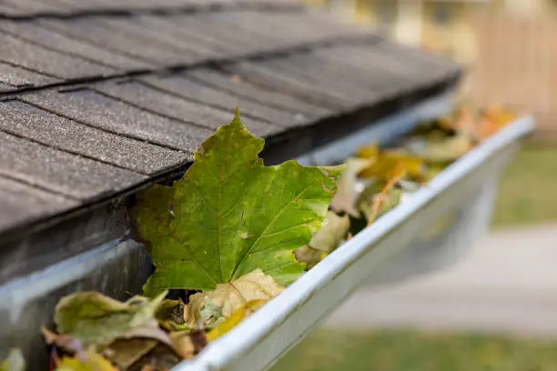 fall roofing