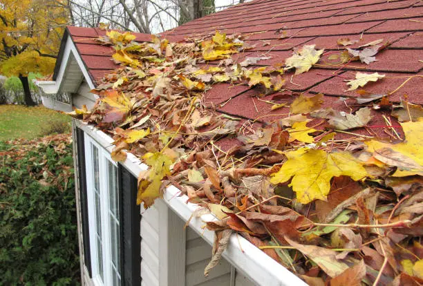 Fall Roofing: The Dangers Falling Leaves Pose