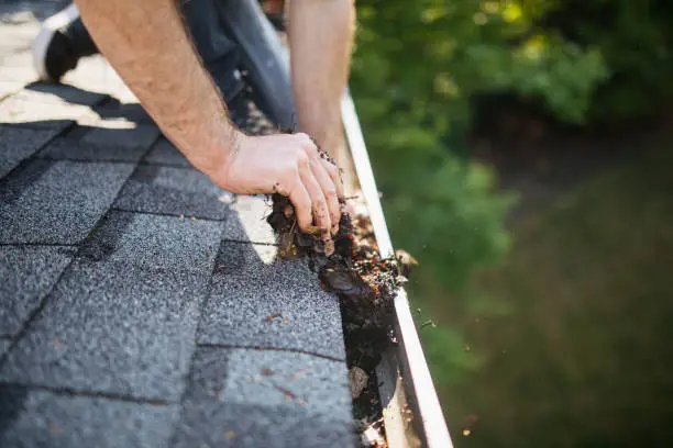 When to clean gutters in fall, fall gutter cleaning