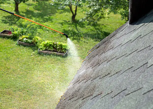 How to Clean Roof Shingles Without Damaging Them