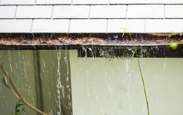 clogged rain gutter